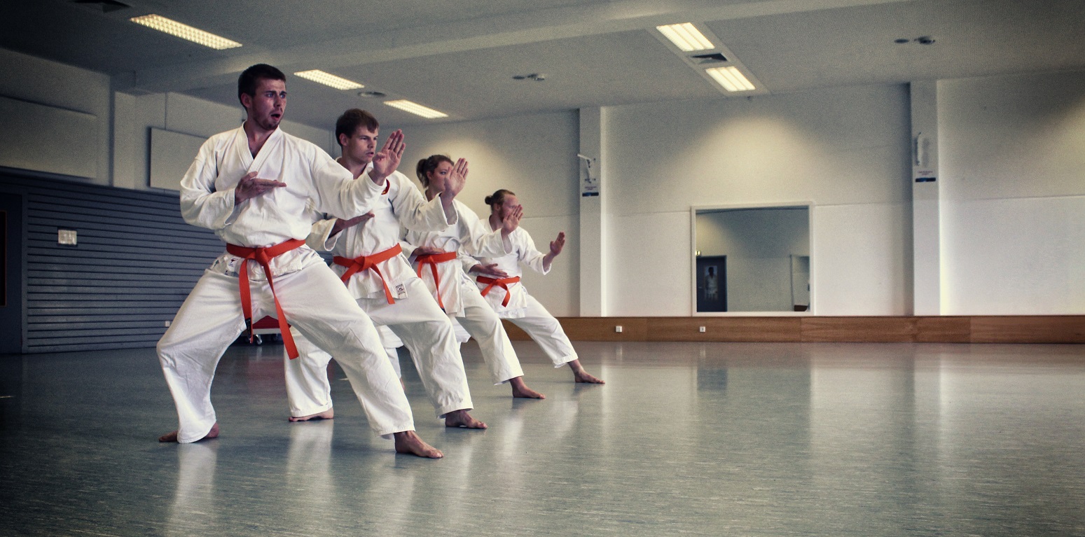 Braucht man als Fortgeschrittener noch Kihon? » KarateCampus